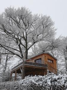 Fréchou-Fréchet猎鹰度假屋的雪中树的小木屋