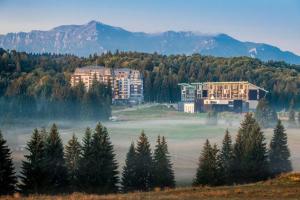 波亚纳布拉索夫Luxury Silver Mountain Apartment的相册照片