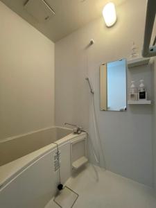 那霸Glanz-Inn Matsuo的浴室配有盥洗盆、镜子和浴缸