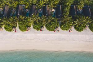 南马累环礁OZEN LIFE MAADHOO - Luxury All Inclusive的享有棕榈树海滩和大海的空中景致