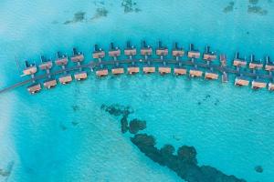 南马累环礁OZEN LIFE MAADHOO - Luxury All Inclusive的相册照片
