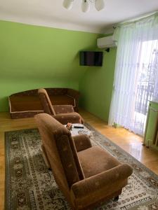 比克内梅特旅馆的客厅配有两把椅子和地毯。