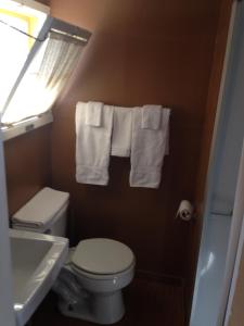 乔治湖琥珀元宵汽车旅馆的浴室配有卫生间、水槽和毛巾。