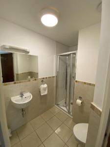 海维康温多弗阿姆斯酒店的一间带水槽、淋浴和卫生间的浴室