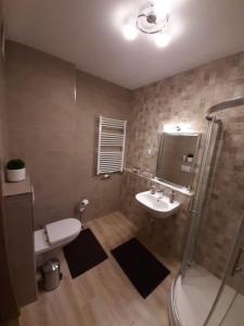 布达佩斯Rozsa55 apartment 2 rooms的浴室配有卫生间、盥洗盆和淋浴。
