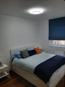 布达佩斯Rozsa55 apartment 2 rooms的一间卧室配有蓝色和橙色枕头的床