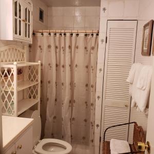 拿撒勒Sapphire Village Condos的带淋浴帘和卫生间的浴室