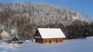 切尔韦纳沃达Apartmány Orlice的雪中带雪盖屋顶的小木屋