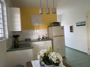 拉贡Blue Lagoon Apartment的厨房配有冰箱和带鲜花的桌子