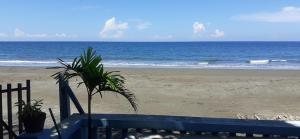 巴旺Bella's Beach Resort Apartment 8的海滩上棕榈树的海滩美景