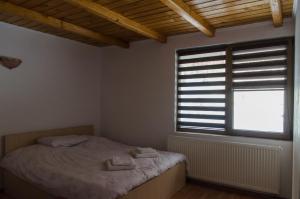 NucşoaraCabana Valea Bradului的一间卧室设有一张床和一个窗口