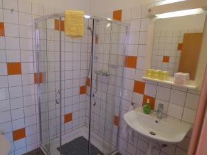 EltenHeidehof Pension B & B的带淋浴和盥洗盆的浴室
