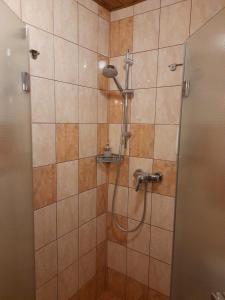 卡尔施泰因黑岩下餐厅酒店的浴室内配有淋浴和头顶淋浴