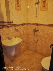斯莫梁Ribkata Family Hotel的一间带水槽和淋浴的浴室
