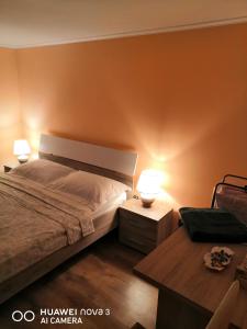 克卢日-纳波卡Cozy central apartment in Cluj Napoca的一间卧室配有一张大床和两盏灯