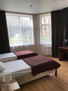 霍斯塔Hotel Staraya Khosta的一间卧室设有两张床和两个窗户。