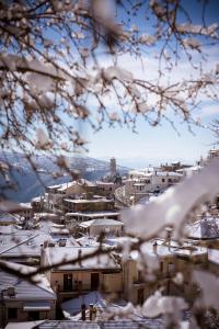 阿拉霍瓦Paeonia Arachova的雪覆盖的城市美景