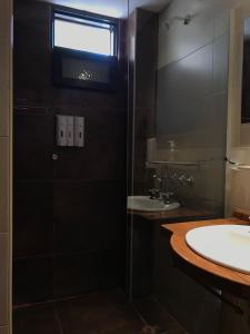 卢汉德库约De Los Andes Hotel Boutique的带淋浴和盥洗盆的浴室