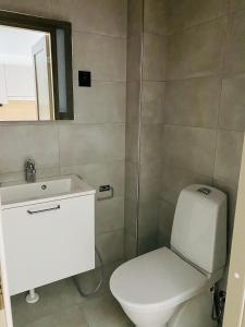 列维Levin Kunkku B6的一间带卫生间、水槽和镜子的浴室