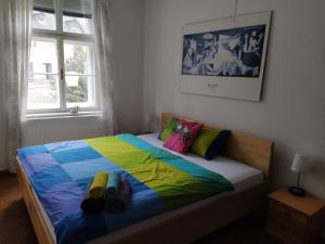 泰普拉河畔贝乔夫Apartmán u Mlsného medvěda的一间卧室配有一张带色彩缤纷的毯子和枕头的床。