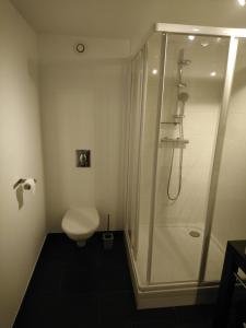 波尔特拜Isles Les Ecrehous的带淋浴和卫生间的浴室。