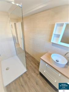 贝尔热拉克私人花园公寓式酒店的带淋浴和盥洗盆的浴室