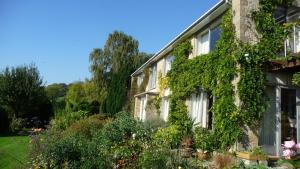 赫尔姆斯利沙洛达尔酒店的常春藤覆盖的房子,设有花园