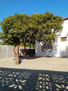 日若卡-迪热里科阿科阿拉Recanto do Meu Bem的白色建筑前的树,有墙