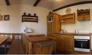 帕特加森肯帕豪斯艺公寓的厨房配有木制橱柜和台面