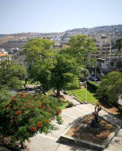 提比里亚阿斯托利亚加利利酒店 的城市里树木和花卉的公园