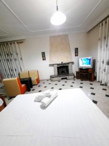 地拉那Vila 57 HOTEL的客厅设有一张床和一个壁炉