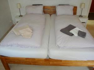 格林德尔瓦尔德Casa Almis, Grindelwald的两张单人床,配有白色床单和一本书