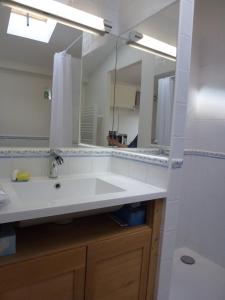 Beauzelle克塔基布拉格纳科公寓的一间带水槽和大镜子的浴室