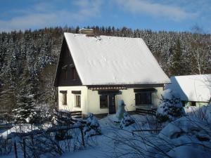 诺伊豪森Erzgebirgsdomizil am Schwartenberg的雪中带雪盖屋顶的房子