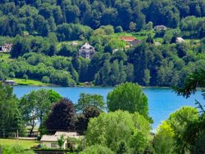 韦尔特湖畔克伦彭多夫Ferienwohnung am Wörthersee Villa Waldbach的享有树木和房屋的湖泊美景。