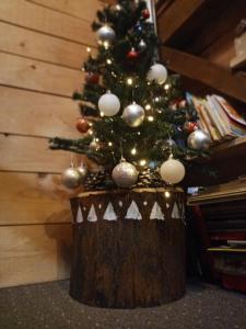 RibnicaPlaninski dom "Tornik" Zlatibor的树 ⁇ 顶上的圣诞树