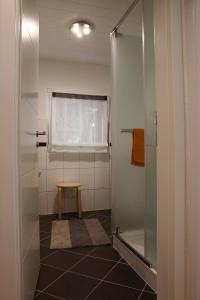 圣戈阿尔雷恩布里克国全景公寓的带淋浴和凳子的浴室