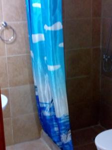 厄尔查尔坦Milenarios Hostel的浴室内配有蓝色淋浴帘