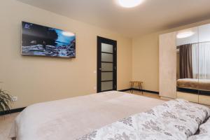 苏梅VIP Flat lavina проспект М Лушпи 2 корп2的卧室配有一张床,墙上配有电视