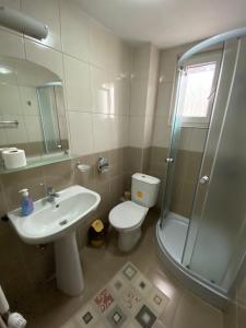 阿尔巴克Casa Cristalina&Dumi的浴室配有卫生间、盥洗盆和淋浴。