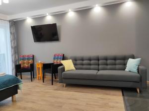 罗兹Apartamentylove - Apartament Kiliński的客厅配有沙发和墙上的电视