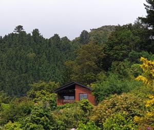 皮克顿Garden View Cottages的森林中的一个小屋