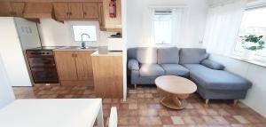 锡姆里斯港Tobisviks Camping的一间带蓝色沙发的客厅和一间厨房
