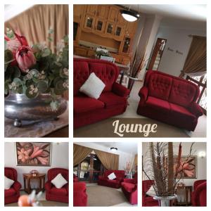 VryburgTuscany Vryburg的客厅里红色家具的照片拼合在一起