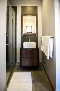 布隆方丹@Greys Guesthouse的一间带水槽和镜子的浴室