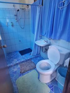 Santo DomingoMirisbiris Garden and Nature Center的蓝色的浴室设有卫生间和水槽