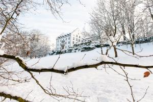 罗尔沙赫伯格施洛斯瓦特台歌酒店的一座建筑物前的雪覆盖公园