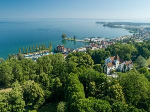 罗尔沙赫伯格施洛斯瓦特台歌酒店的享有湖泊上城镇的空中景致