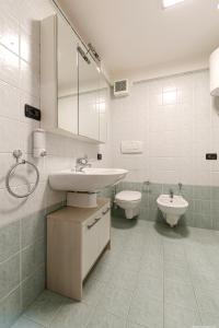 博尔扎诺博尔扎诺公寓的一间带水槽和卫生间的浴室