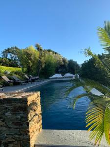 奥莱塔Villa Milanu的棕榈树庭院中的游泳池